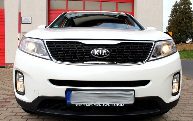 Kia Sorento cena 64900 przebieg: 173000, rok produkcji 2014 z Brusy małe 742